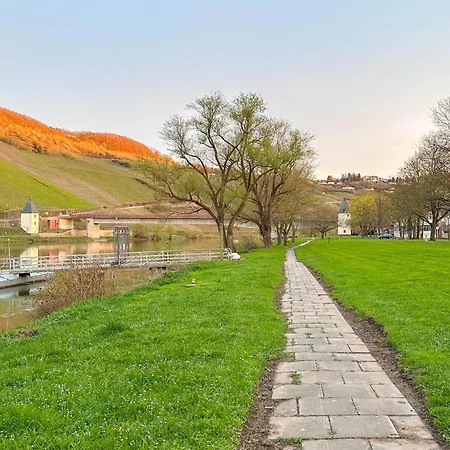 Apartmán Moselgarten Trittenheim