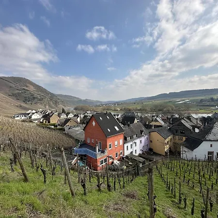 Moselgarten Trittenheim