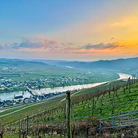 Lejlighed Moselgarten Trittenheim