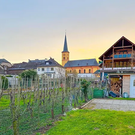 Moselgarten Apartmán Trittenheim